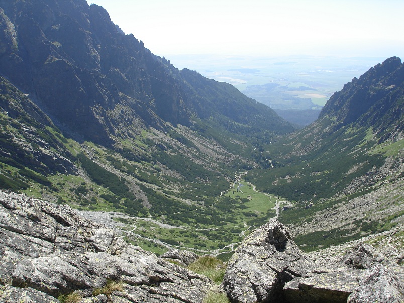 dsc00004.jpg