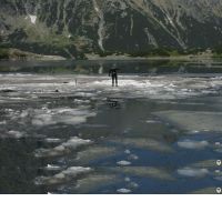 normal_na stawie.jpg