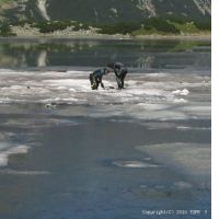 normal_rotation of img_1965.jpg