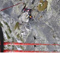 normal_surdel 11.jpg