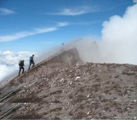 normal_zdjecia 449.jpg